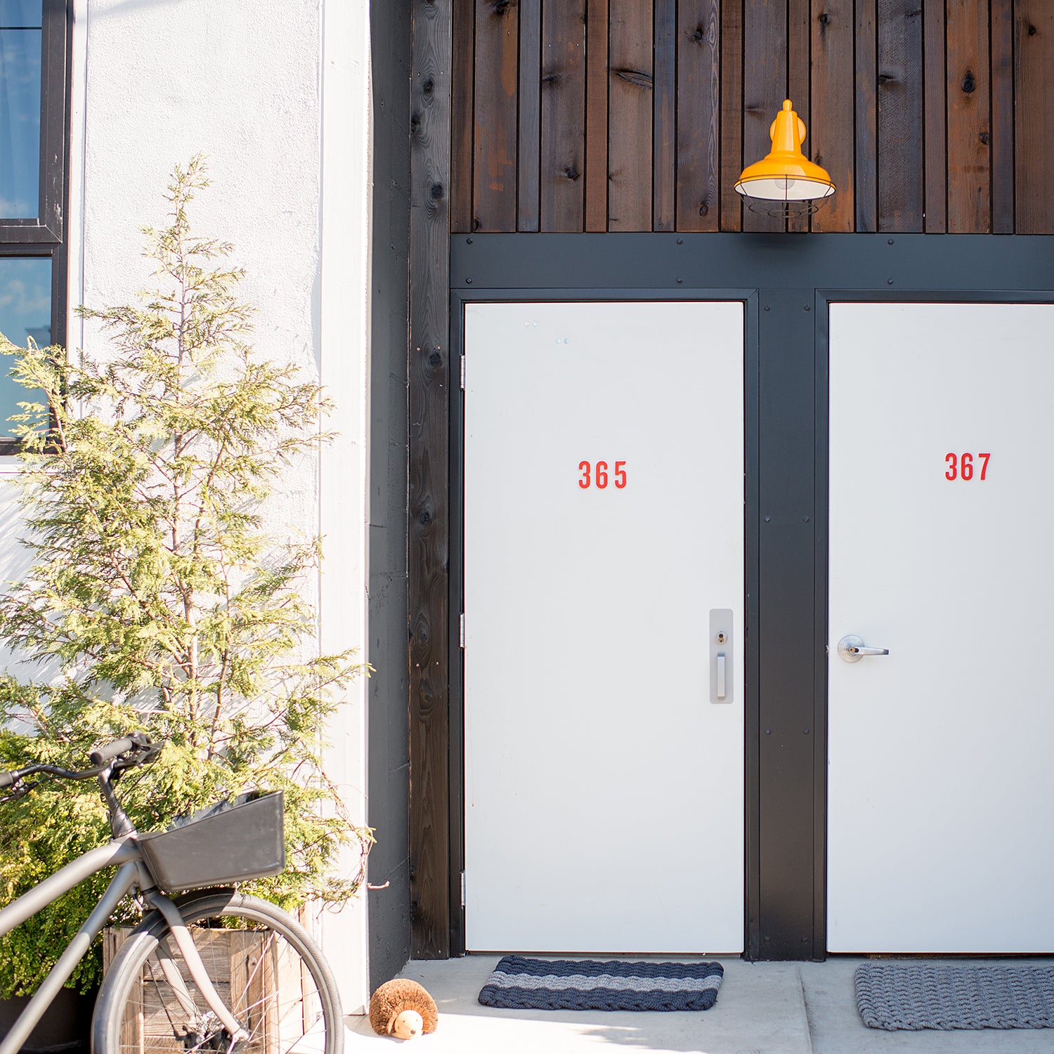 environment_image,null,false,false