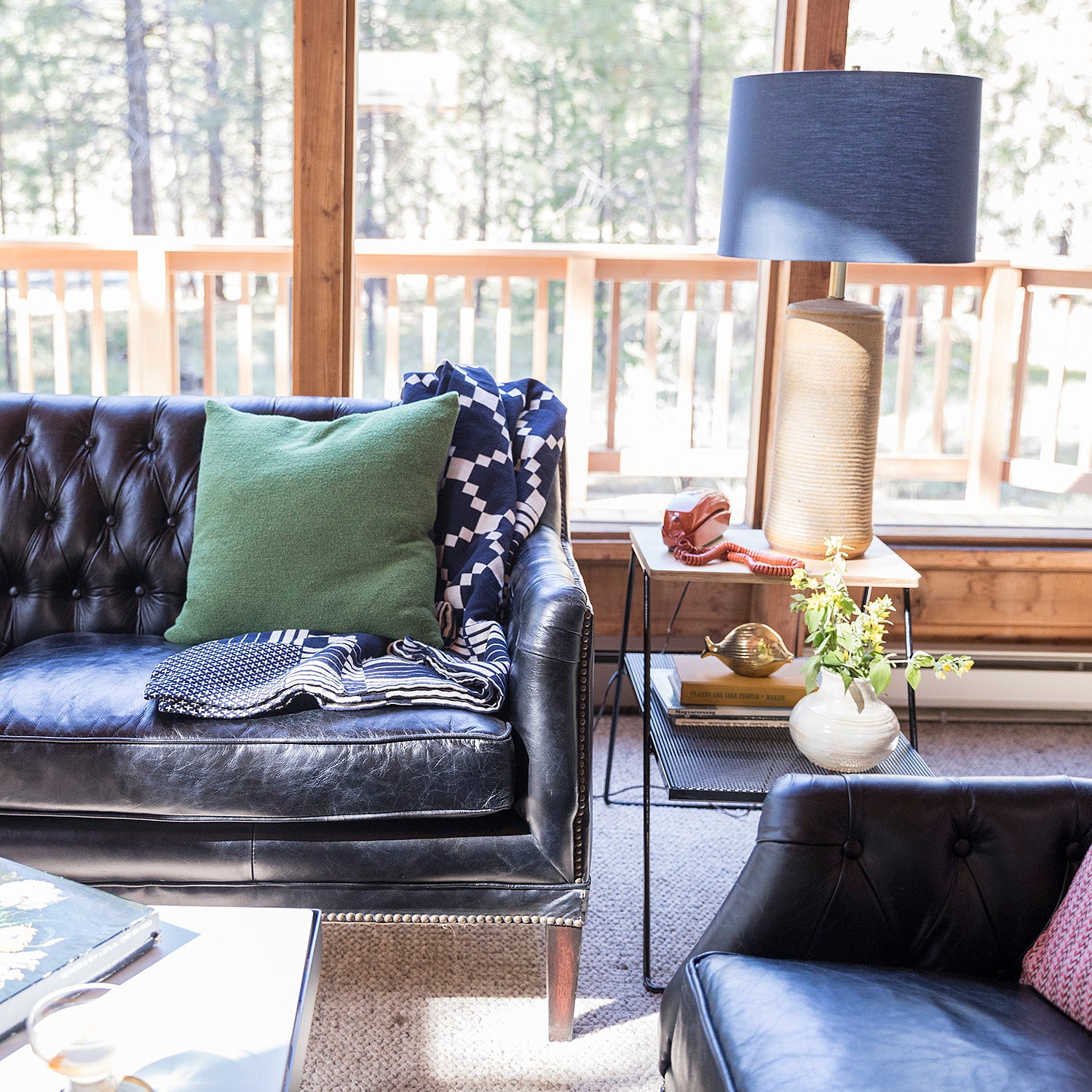 environment_image,null,false,false