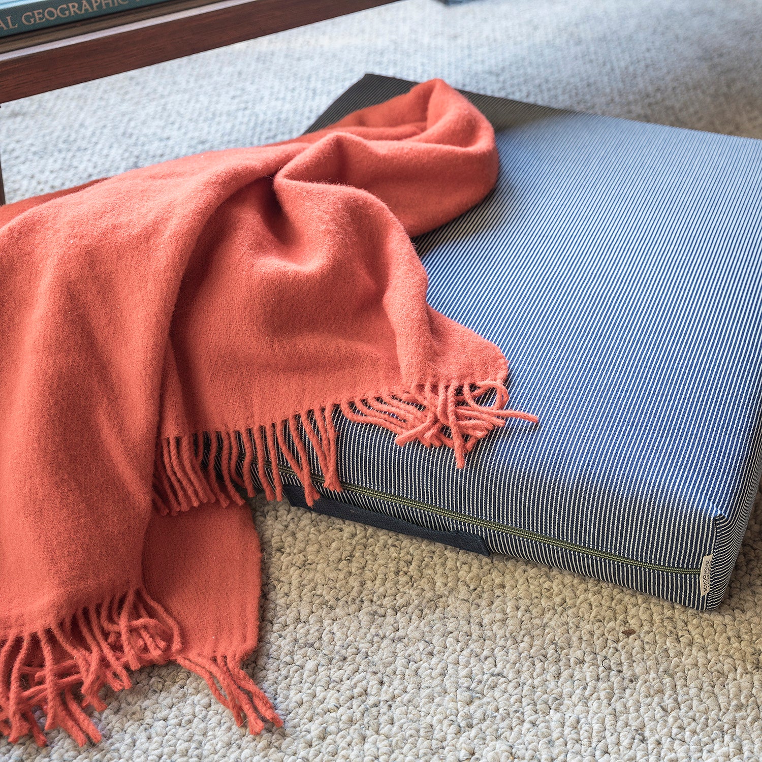 environment_image,null,false,false