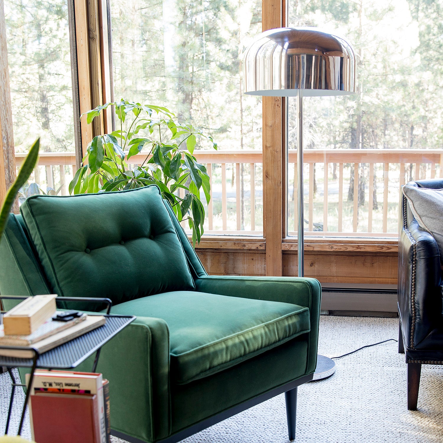 environment_image,null,false,false